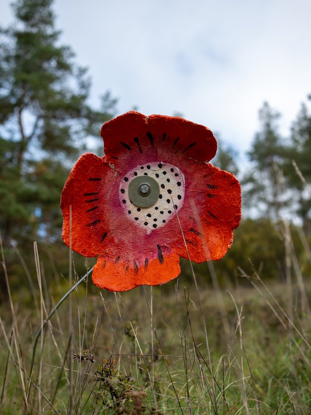 Blume Naturkunstpfad