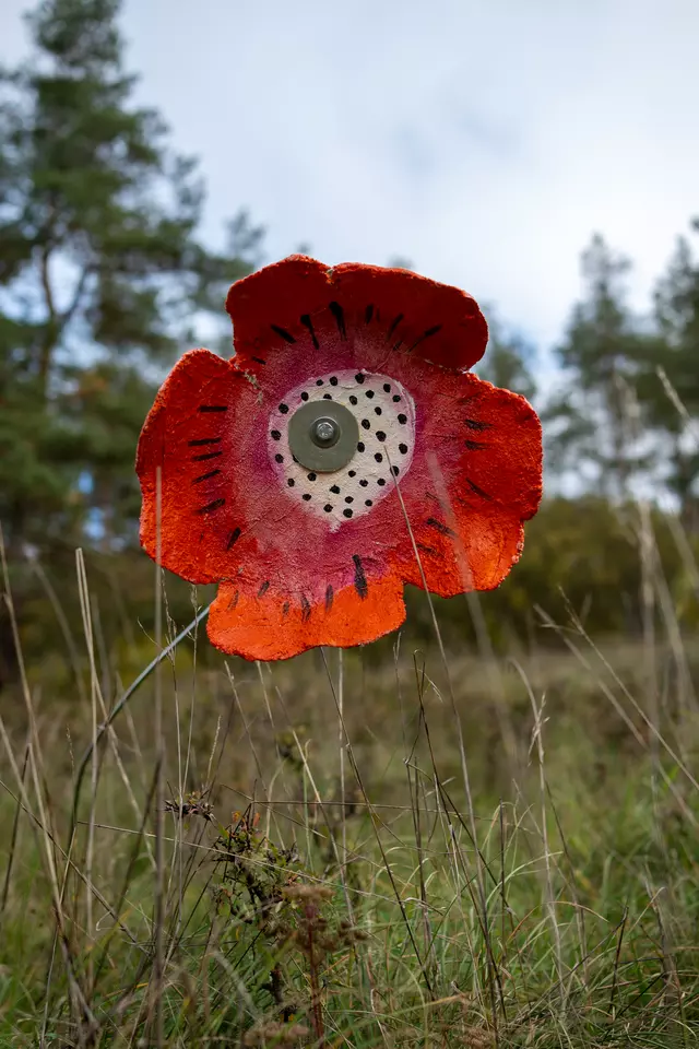 Blume am Naturkunstpfad