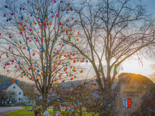 Kannenbaum im Frühling